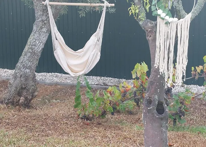 Casas Ze Pinto Hospital